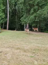 Quiet Neighbors