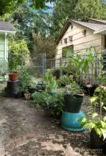 Gate to fully fenced back yard.