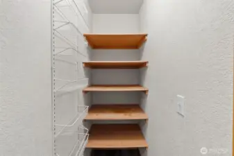 The pantry just off of the kitchen has plentry of storage space.