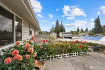 These and more perennial flowers are planted throughout yard