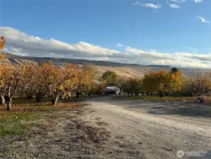 Access road into Orchard to cold storage and housing equipment barn