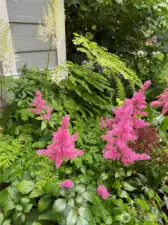 More, and more and more!