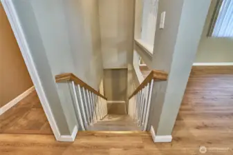 Staircase Leading to the Basement.