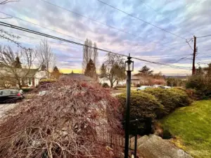 Even this slight perch above street level gives a sense of privacy and room to breathe.  Here we are standing in the yard looking NW.