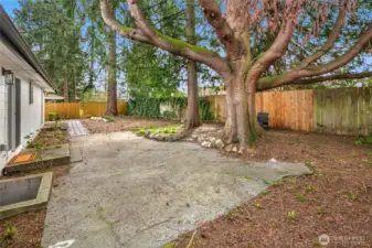 Expansive tree filled fully fenced backyard with loads of entertaining space.