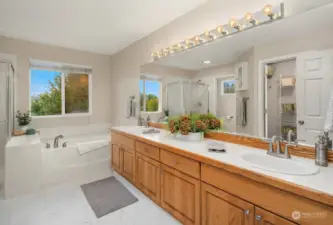 The primary bath suite features a separate shower and luxurious soaking tub, and a large walk in closet to the left of the photo.
