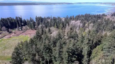 Aerial View of Area