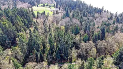 Aerial View of Area