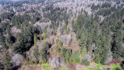 Aerial View of Area