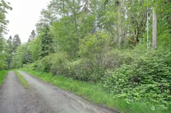 Street View off Amber Lane