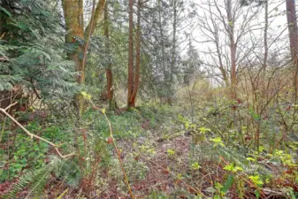 Street View off side road from Amber Lane (no name)