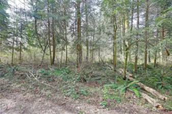 Street View off side road from Amber Lane (no name)