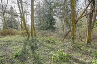 Street View off side road from Amber Lane (no name)