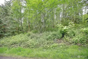 Street View off side road from Amber Lane (no name)