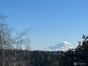 Mount Rainier view from primary bedroom.