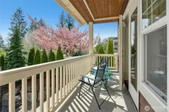 Balcony off Primary Bdrm