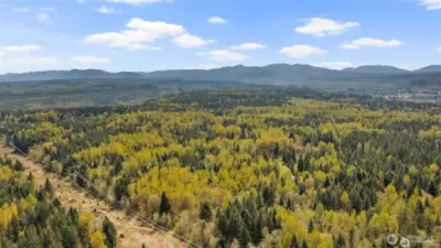 Tolt Highlands is full of estate homes on 20acres  just outside of downtown Carnation