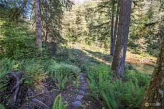 trail leading to the river