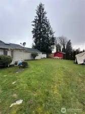 Oversized back yard