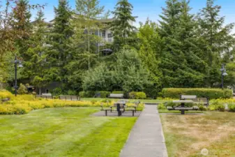 Lovely green space across the street from your new neighborhood to relax and enjoy the outdoors.