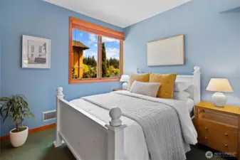 Lower level bedroom