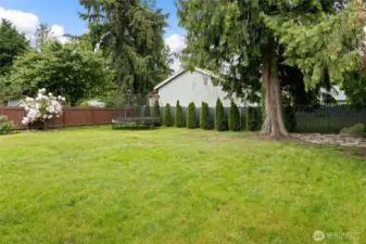 Fully Fenced Backyard