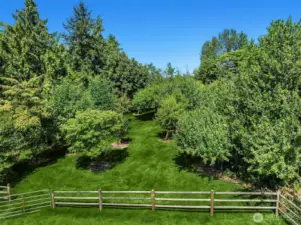 Fruit Bearing Orchard