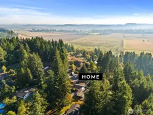 Whitney Estates