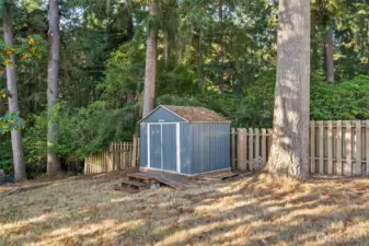 Shed