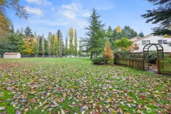 Sorrento greenbelt area.