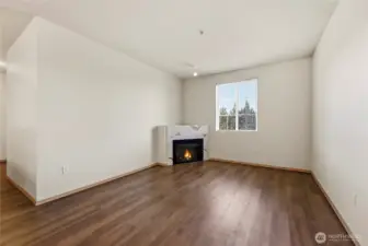 Living room with fireplace