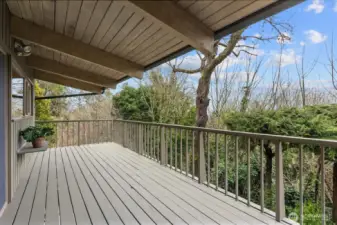 Entertainement size deck with great views.