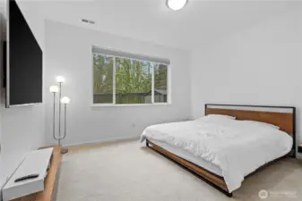 Lower level bedroom 4