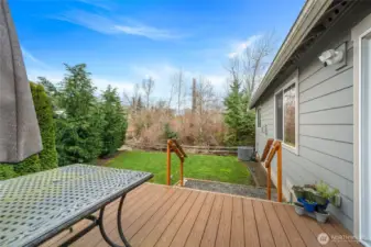 Back Deck and yard