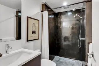 Lower Level Bathroom