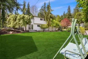Side yard