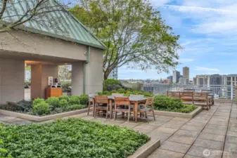 Gorgeous and expansive rooftop terrace with Adirondack Lounges, BBQ areas and views of SLU, the Space Needle and Downtown Seattle!