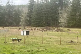 Enjoy when nature visits your doorstep!