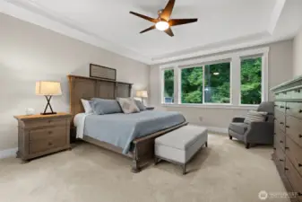 Enjoy complete privacy with a backyard that backs to a serene open space buffer, offering views of mature evergreens and a peaceful retreat.