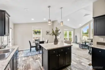 Stainless appliances designer lighting and lots of windows for lighting.  Blinds on most of the windows.