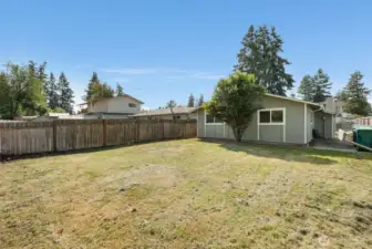 Fully-fenced yard with plenty of sunlight!
