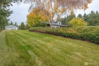 Long driveway to the shop, there is room to park anything here! (no in-ground sprinklers to worry about)