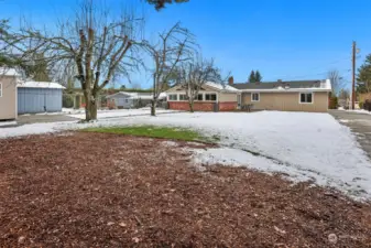 Shed stays with the property and cherry/plum trees produce delicious fruit.