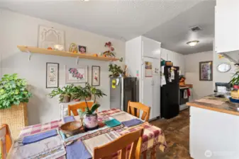So much natural light perfect for keeping houseplants
