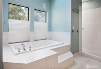 The theme of light continues here. Ceramic tile with a deep tub. Spacious walk in shower, see right edge of this photo.