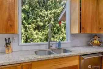 Granite counters, undermount sink