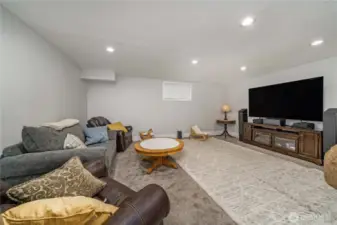 Rec-room on Lower Level