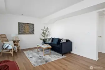 Downstairs family room