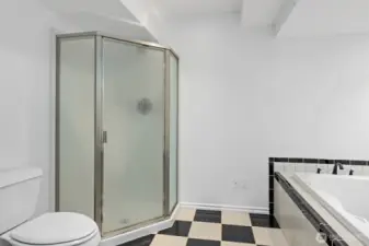 Lower level bathroom also includes a shower.
