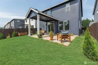 Backyard - Patio
